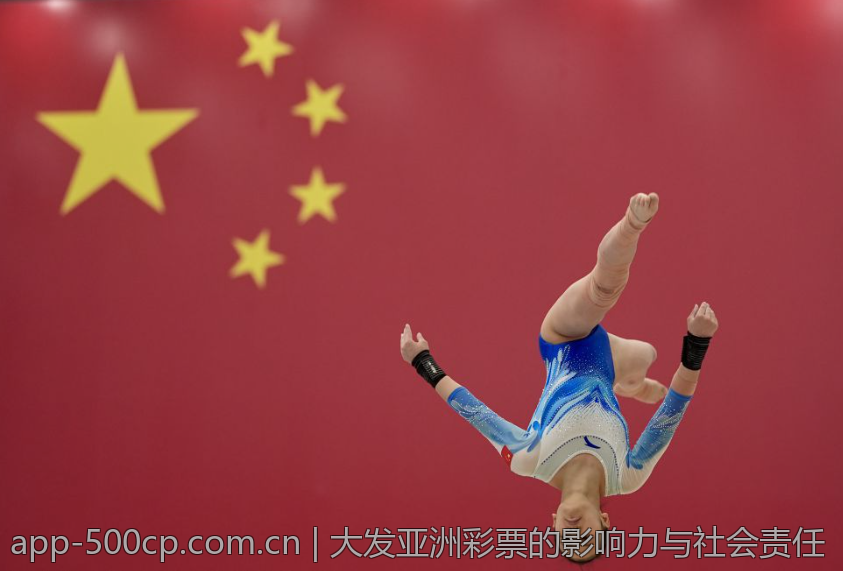 大发亚洲彩票的影响力与社会责任