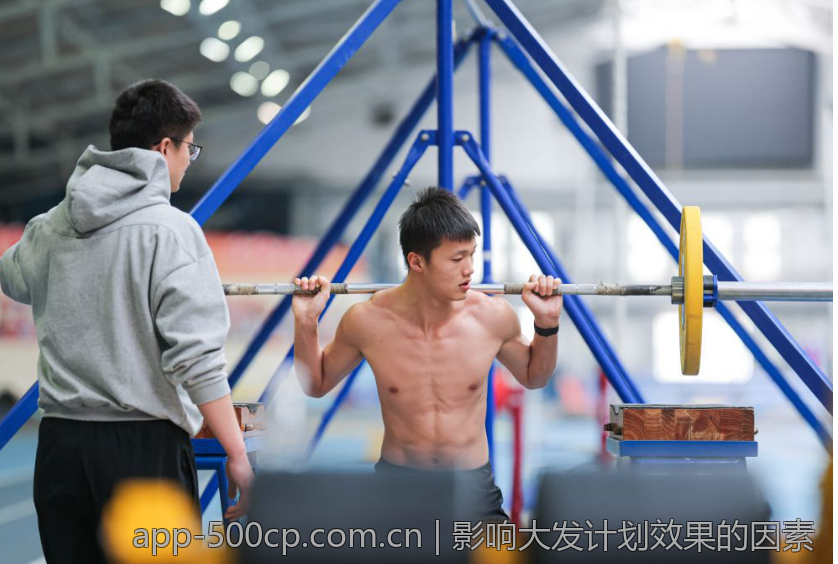 影响大发计划效果的因素