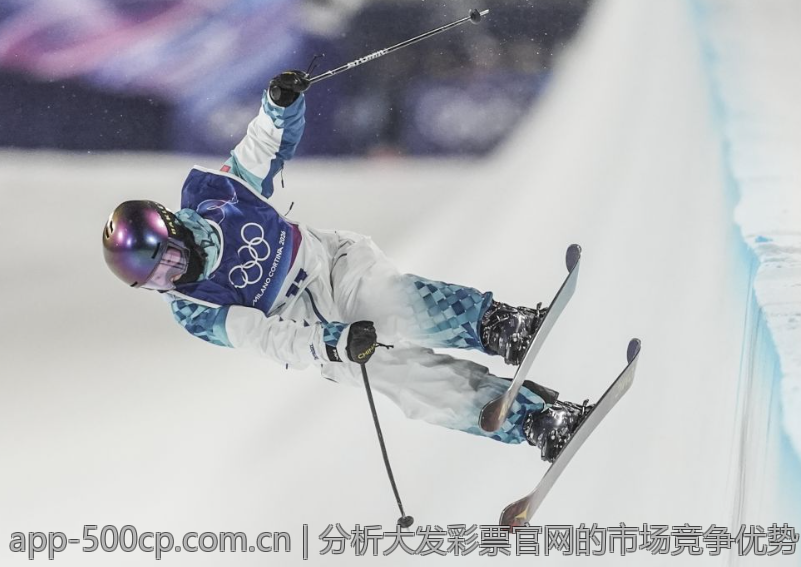 分析大发彩票官网的市场竞争优势