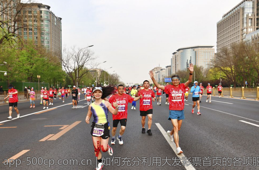 如何充分利用大发彩票首页的各项服务